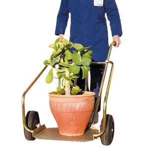 CARRELLO GARDEN