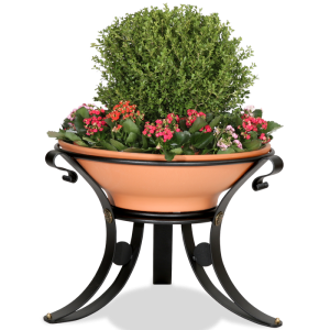 FIORIERA DALIA