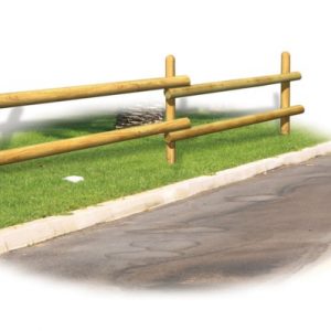 RECINZIONE POLLINO
